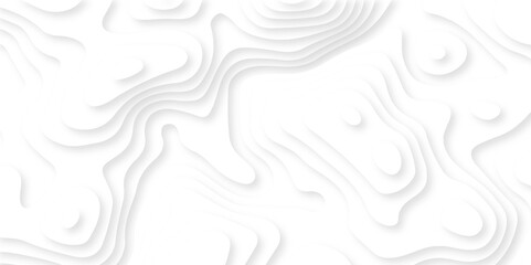 Luxury abstract lines Modern white carve wave line abstract luxury 3d papercut background. vector minimal topography map light element shadow landscape wave element curve graphic papercut design.