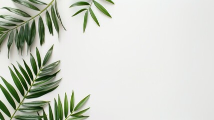 Minimalist flat lay with green tropical palm leaves on white background, perfect for presentations, blog headers, and social media posts.