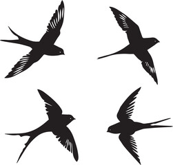 Fototapeta premium set of silhouettes of birds