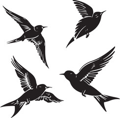 silhouettes of birds