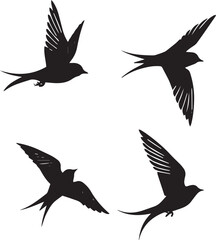 silhouettes of birds