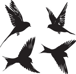 silhouettes of birds