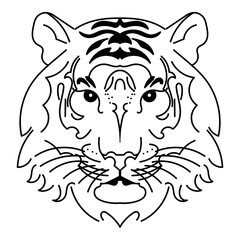 Tiger with black stripes on a white background. Tiger's face