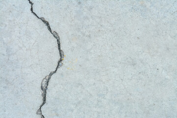 The rough texture of a weathered cement or concrete wall, riddled with cracks, forms a striking background.