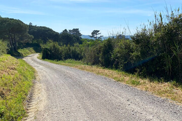Dirt road in the countryside of Tarragona, Spain