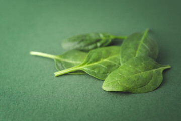 Spinach leaf on a green background, close-up