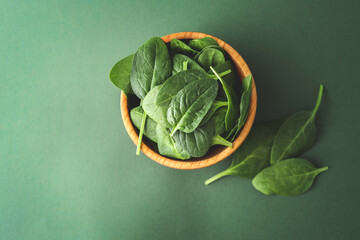 Spinach leaf on a green background, close-up