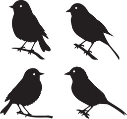 silhouettes of birds