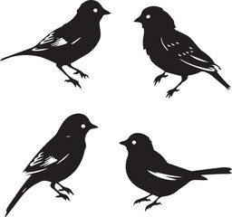 silhouettes of birds