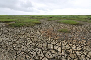 The photo captures a salt marsh landscape where the ground is visibly cracked due to drying. The...