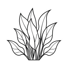 Tree vector illustration 