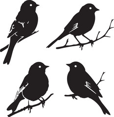 silhouettes of birds
