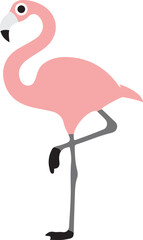 flamingo  illustration on white background  