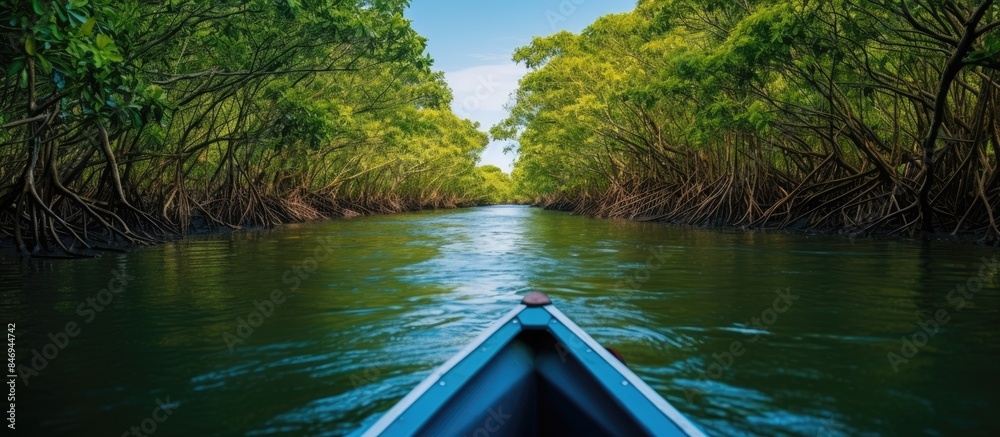 Poster River scene with boat moving through dense forest of trees, capturing the harmony of water and nature. with copy space image. Place for adding text or design