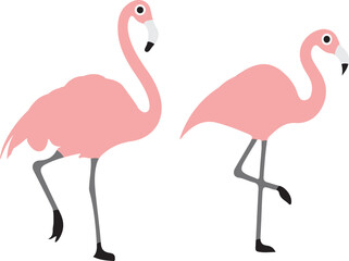 flamingo  illustration on white background  