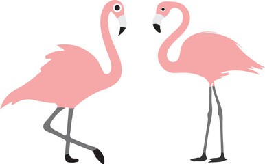 flamingo  illustration on white background  