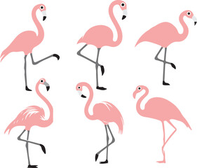 set of flamingo