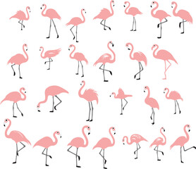 Set of Exotic pink flamingo bird vector s Silhouette.  