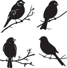 birds on a branch