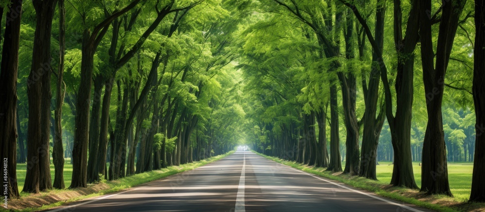 Poster Vehicle moving smoothly on road bordered by lush trees from a distant viewpoint. with copy space image. Place for adding text or design