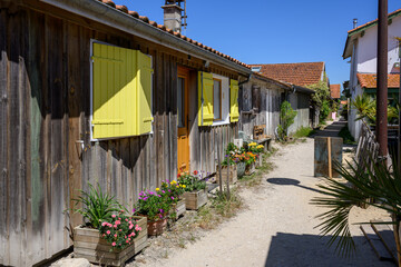 CAP FERRET (Bassin d'Arcachon, France). Cabanes typiques dans une ruelle du quartier ostréicole de...