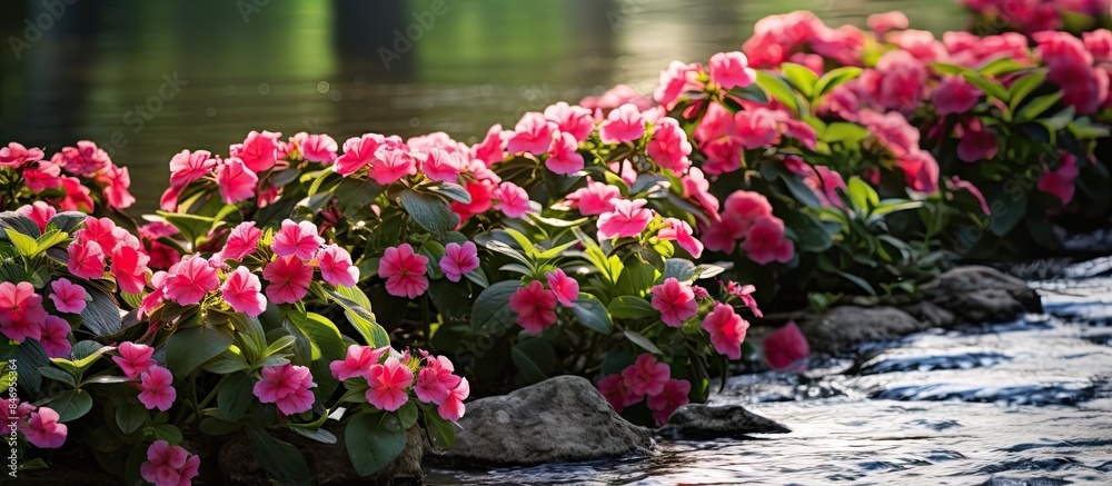 Poster Vibrant flowers bloom along the stream's edge under the warm sunlight, creating a picturesque scene. with copy space image. Place for adding text or design