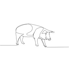 pig, wild boar, livestock, piglet one line art. Continuous line drawing of farm, nature, agriculture, farm animals, rural life, ranch.