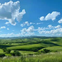 Fototapeta premium Panoramic view of rolling green hills under blue sky