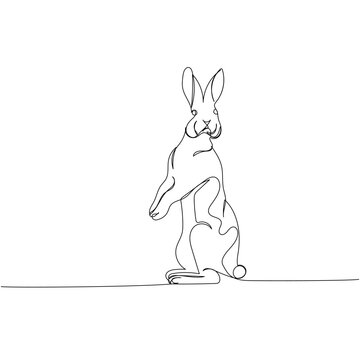 recommend clip art: rabbit, pet, animal husbandry, hare one line art. Continuous line drawing of farm, nature, agriculture, farm animals, rural life, ranch.