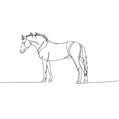 horse, pony, livestock, artiodactyl one line art. Continuous line drawing of farm, nature, agriculture, farm animals, rural life, ranch.