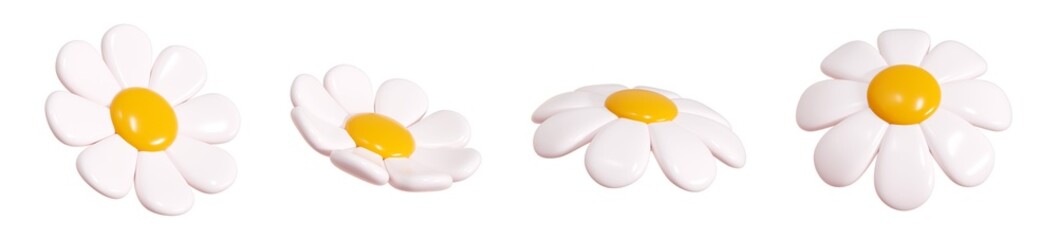 Daisy plastic flower float in different angles of view cartoon icon 3d render illustration. Cute flying chamomile bubble bloom with white petals for spring and summer design. Glossy balloon blossom