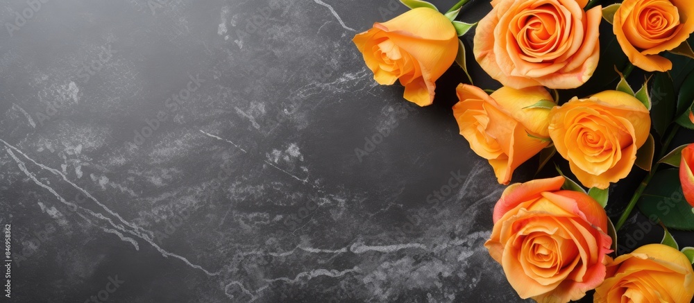 Poster orange roses beautifully contrast against both black and gray backgrounds in a striking composition.