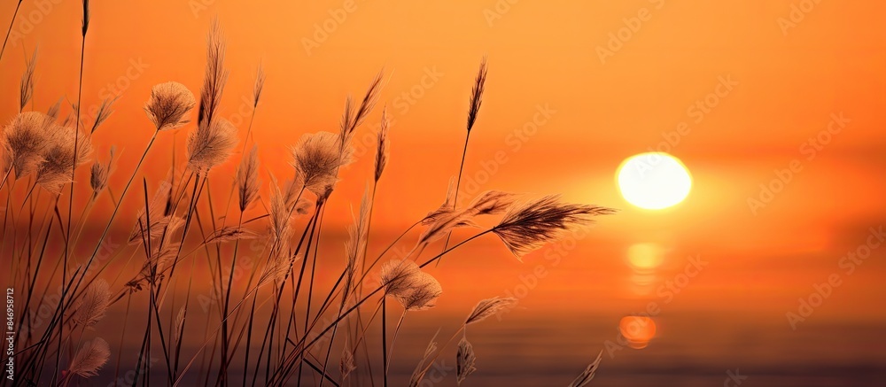 Aufkleber Giraffes in the foreground, set against a beautiful sunset backdrop with a body of water. with copy space image. Place for adding text or design