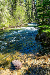 Fototapeta premium Chinook Pass Cold Stream 3