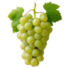 Fototapeta premium [Transparent Background PNG]A bunch of green grapes with leaves on a white background