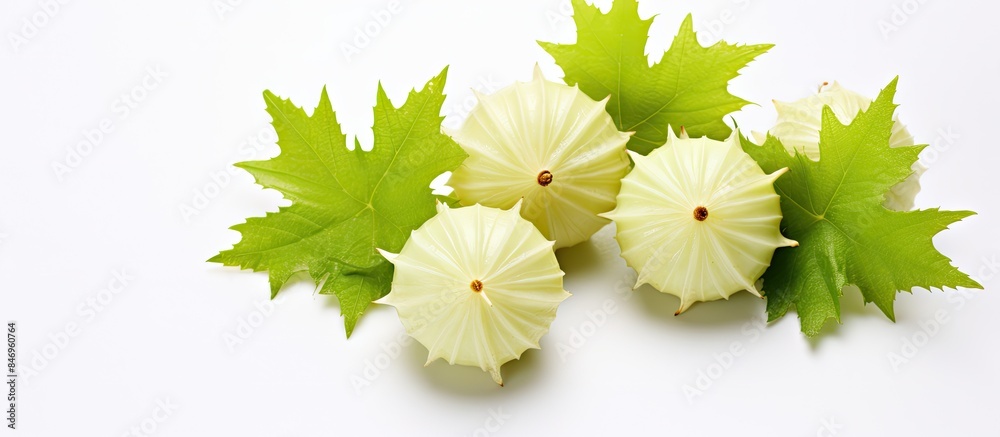 Aufkleber three white flowers with green leaves arranged on a white background contrast beautifully. with copy