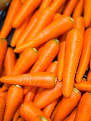 The carrot root vegetables fresh natural