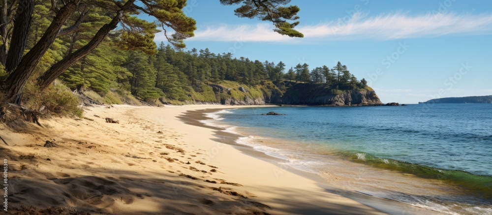Aufkleber Quiet beach found at the end of Otter Trail boasting a solitary tree and calm waters. with copy space image. Place for adding text or design