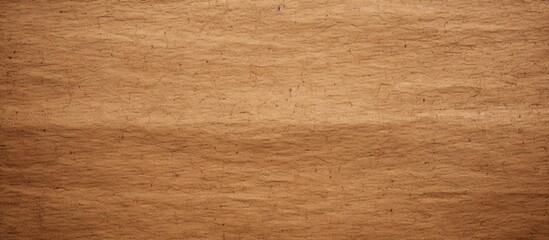 Fototapeta premium Brown paper displaying a small hole at its center surface. with copy space image. Place for adding text or design