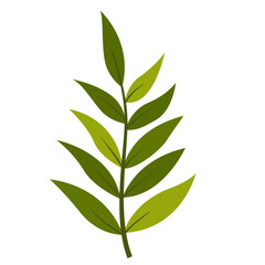 Fresh Green Tropical Leaf, Design Vector Element Flower and Leaves 