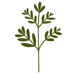 Fresh Green Tropical Leaf, Design Vector Element Flower and Leaves 