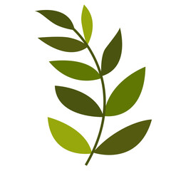 Fresh Green Tropical Leaf, Design Vector Element Flower and Leaves 