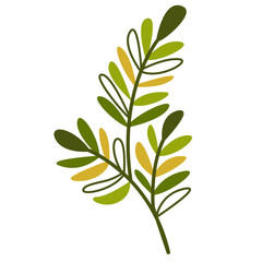 Fresh Green Tropical Leaf, Design Vector Element Flower and Leaves 