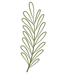Hand Drawn Leaf and Flower, Foliage and Floral Clipart Design