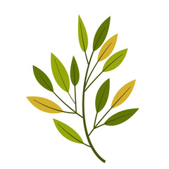 Hand Drawn Leaf and Flower, Foliage and Floral Clipart Design