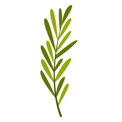 Hand Drawn Leaf and Flower, Foliage and Floral Clipart Design