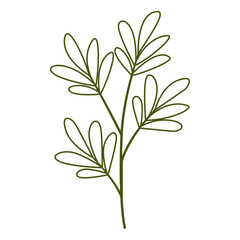 Foliage Single Green Leaf Plant Outline, Vector Design Element Tropical Leaves