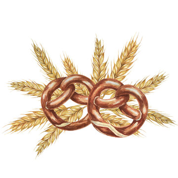 recommend clip art: Pretzels with backdrop of golden wheat ears. Watercolor illustration for culinary, bakery, Oktoberfest designs in realistic style. Cereal grain and backed snack clipart for flyers, posters, brewery