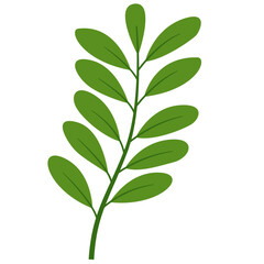 Obraz premium Foliage Single Green Leaf Plant, Vector Design Element Tropical Leaves