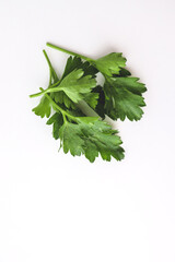 Parsley isolated on white background